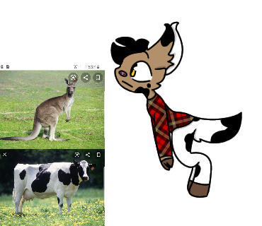 cowkeroo