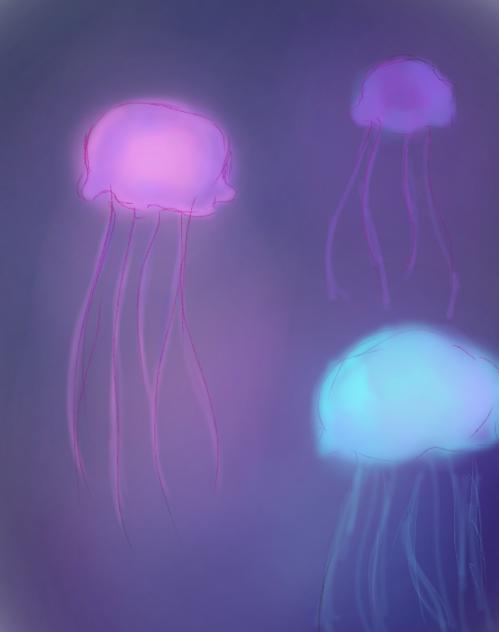Jelly feesh