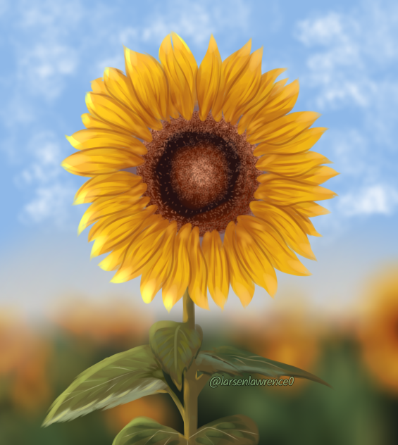 🌻
