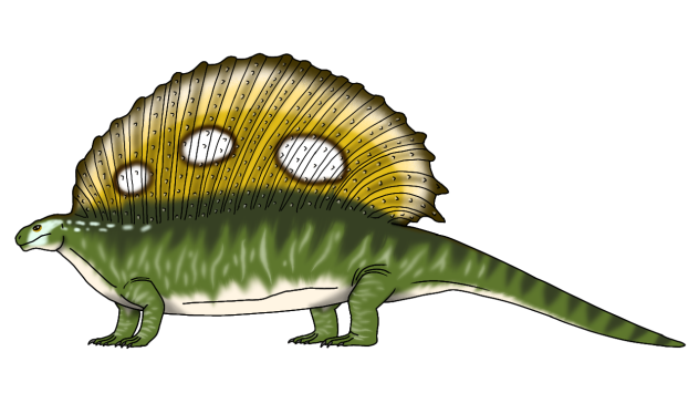 Edaphosaurus cruciger render