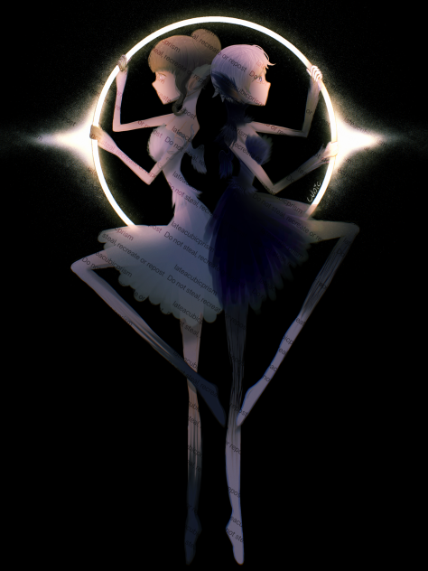 two birds and the eclipse