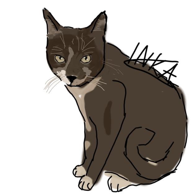 My kitty in ibis paint! - ibisPaint