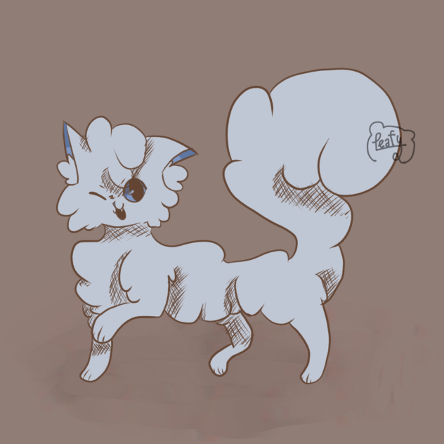 C For Cloudtail