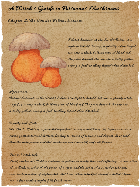 A Witch's Guide to Poisonous Mushrooms 2