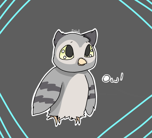 Owl
