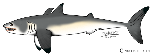 Cladoselache fyleri