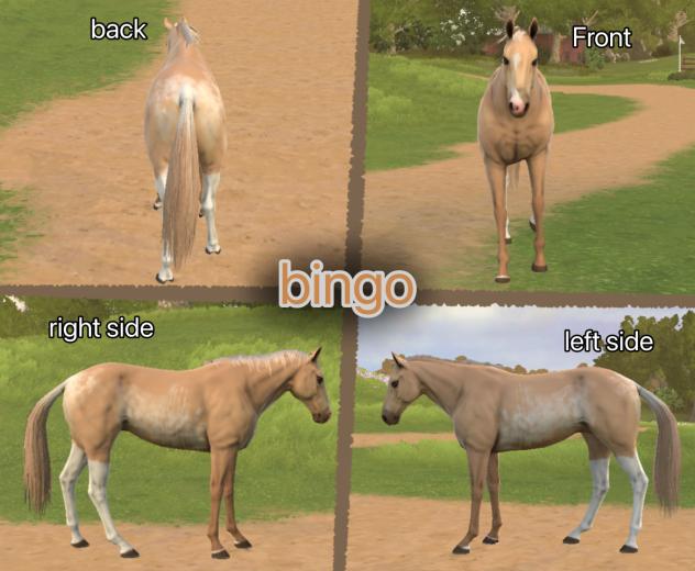 bingo!