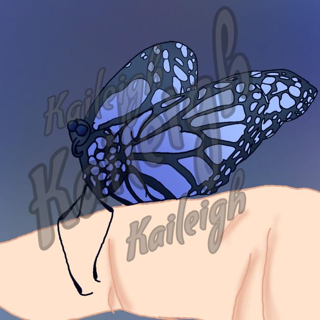 butterfly