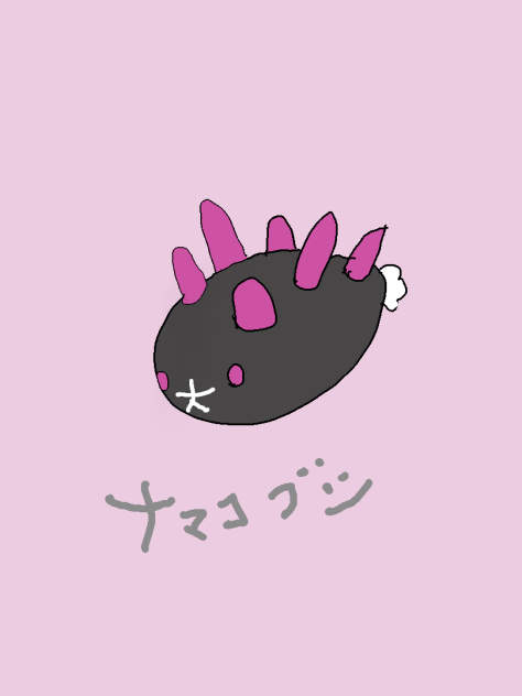 ナマコブシ - ibisPaint