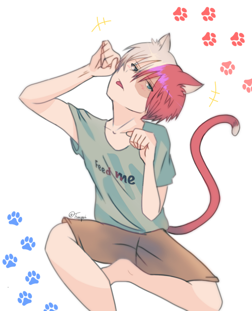 Catdoroki Shoto 🐱