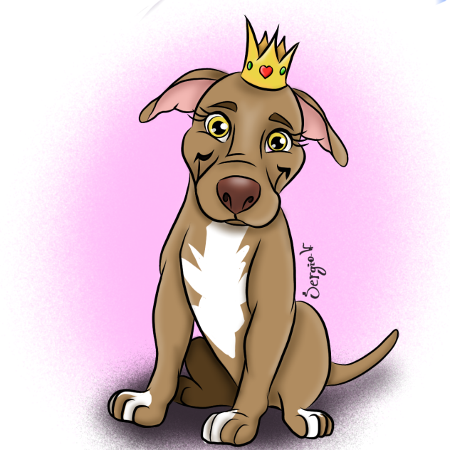 Luna American Bulli terrier