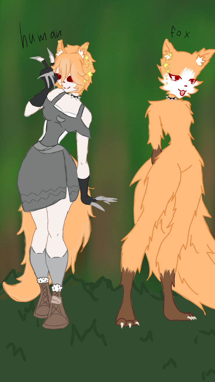 Fox - ibisPaint