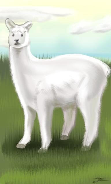 (#715) Lama