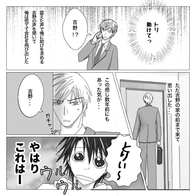 ガサ入れ【トリチア】8分の1