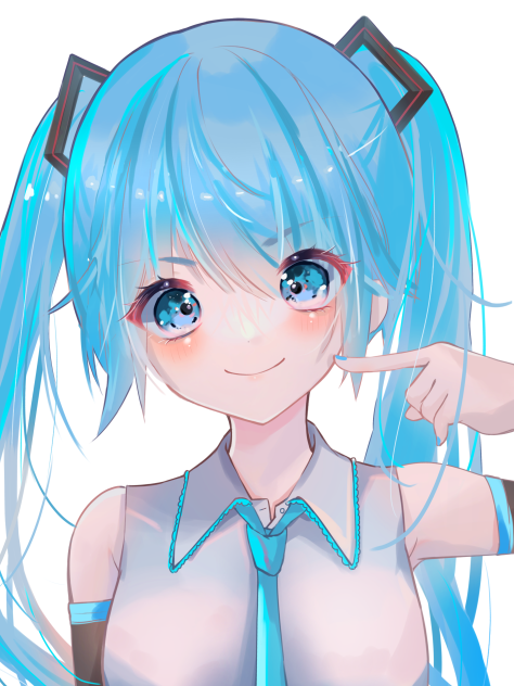 ミクちゃん！！