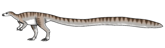 Leaellynasaura amicagraphica rn