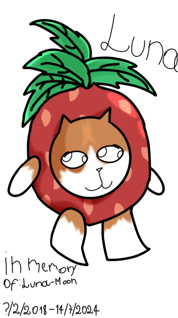 Strawberry 🍓 cat 🐈