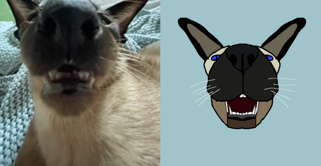 Big nose and ear kat