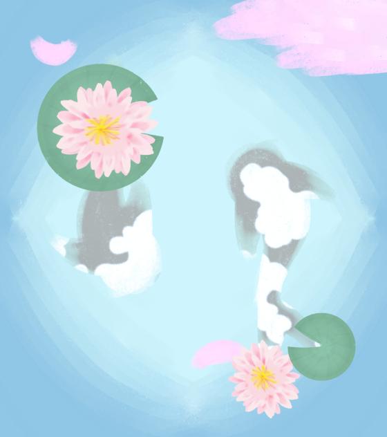 lily pond 🪷🎏
