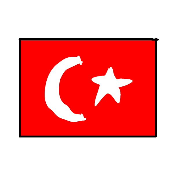 turkey flag (old drawing)