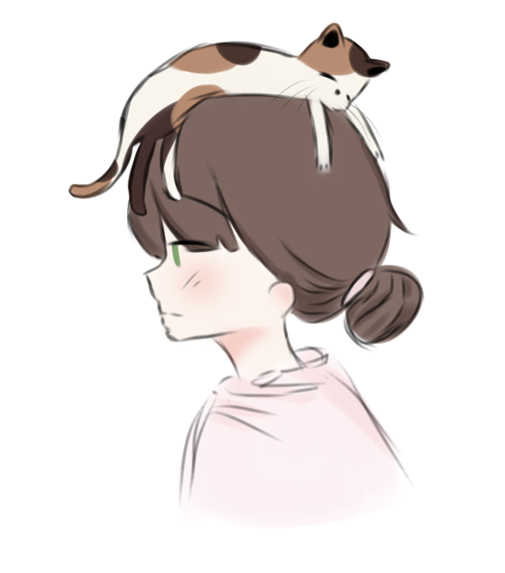 Practice 2