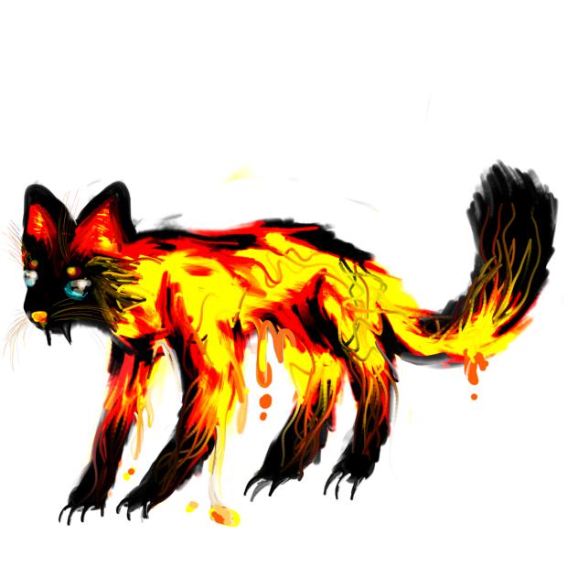 Lava cat