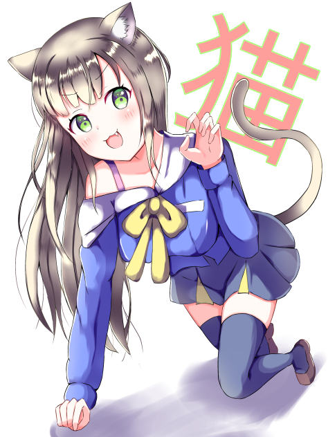 猫
