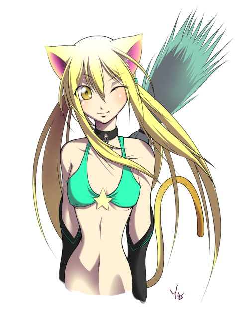 猫月 星猫ちゃん