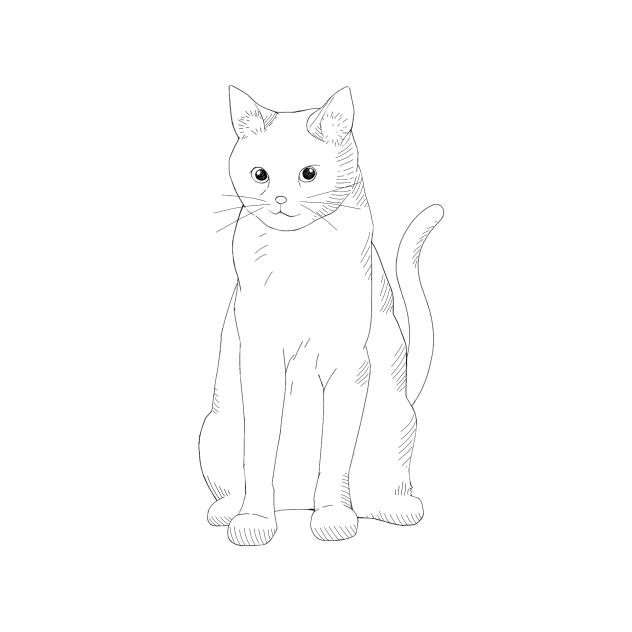Ehe cat
