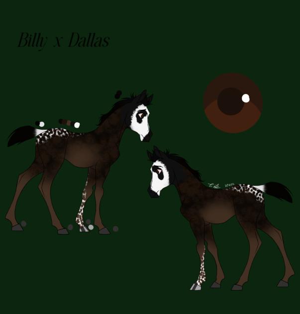 Billy x Dally Foal Meme