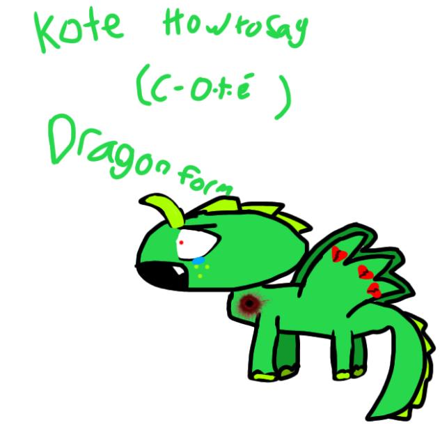 kote dragon form