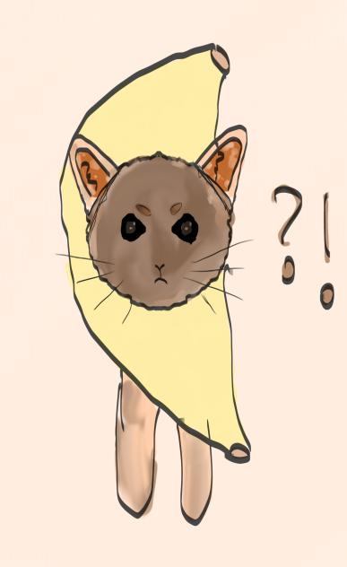 The banana cat