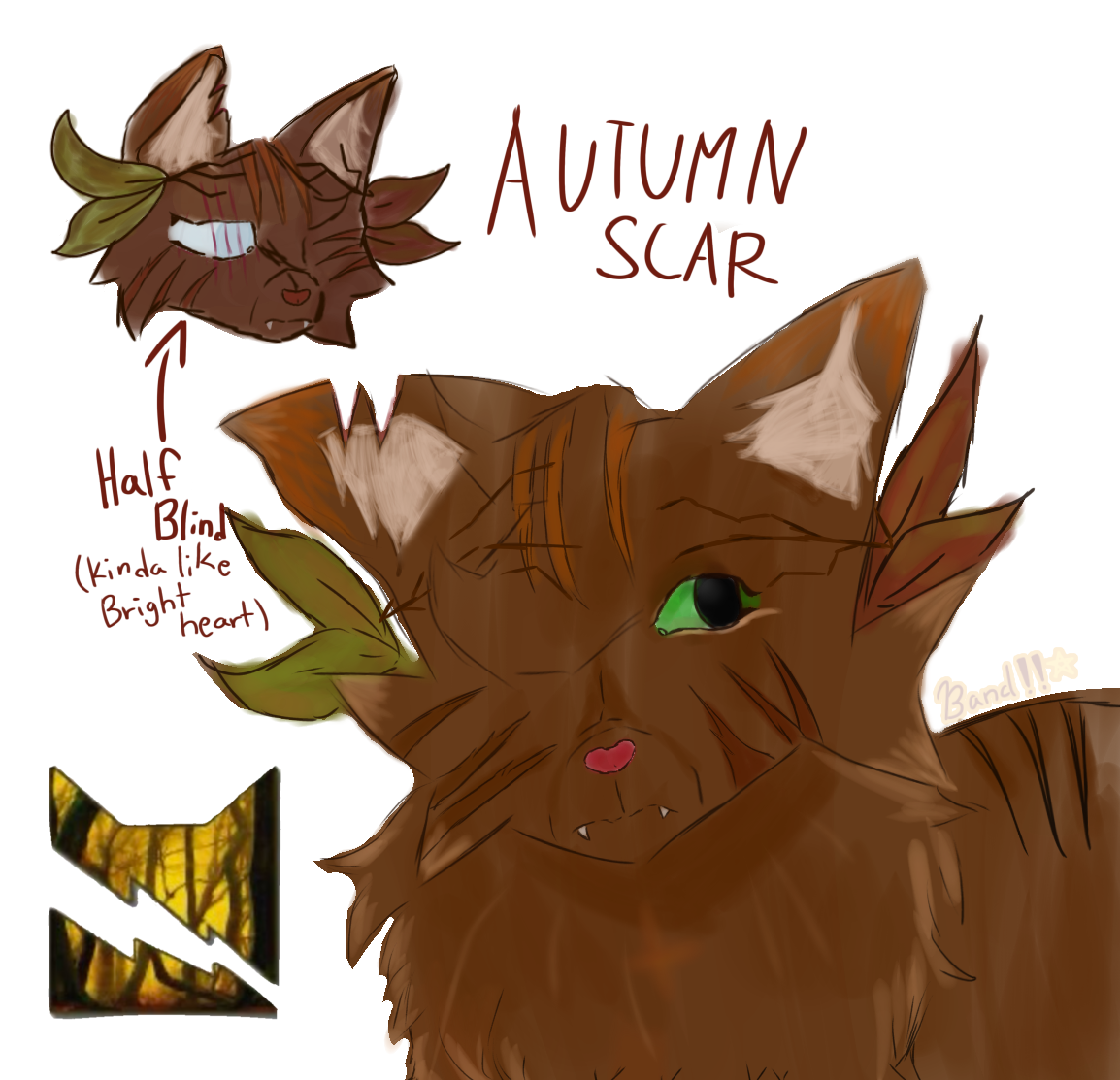WARRIOR CATS OC ! ! - ibisPaint