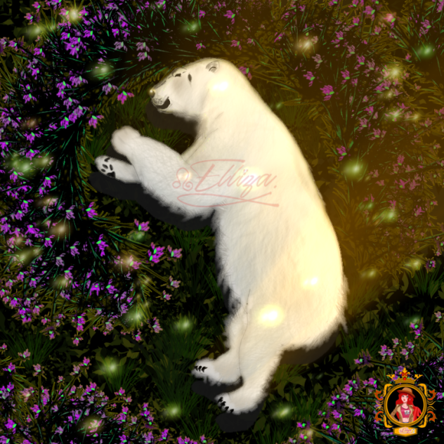 🐾⚪🐻💤