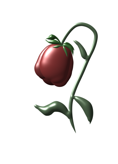 枯れた薔薇