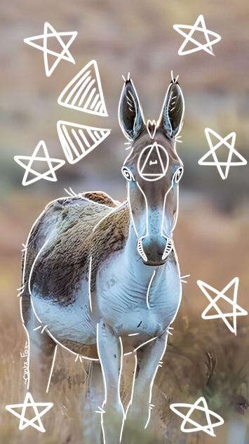 ⭐️Persian onager⭐️