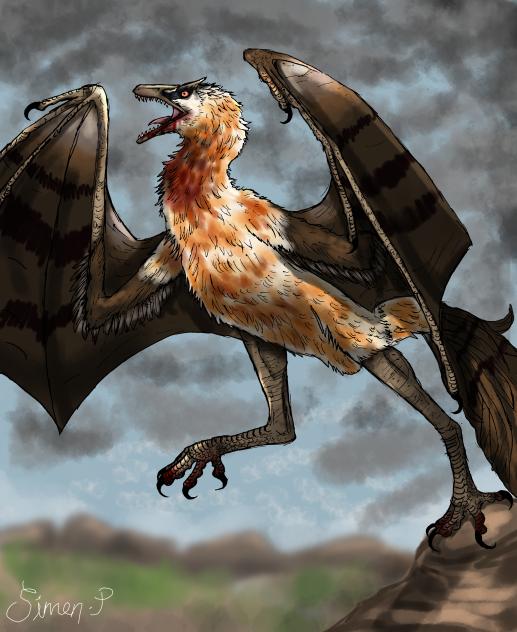 Dragon (inspired by bearded vulture)