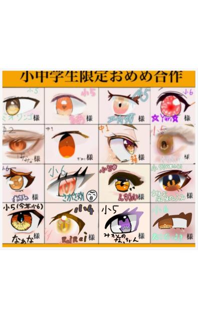 お目目