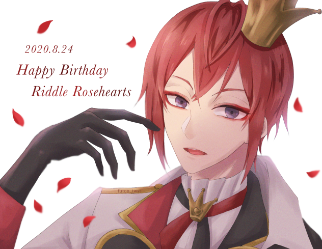 リドルくんHappy Birthday🌹