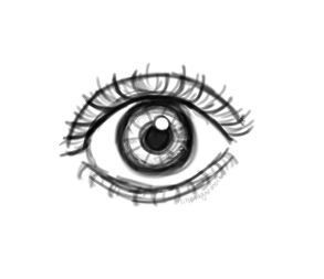 should i color it - ibisPaint