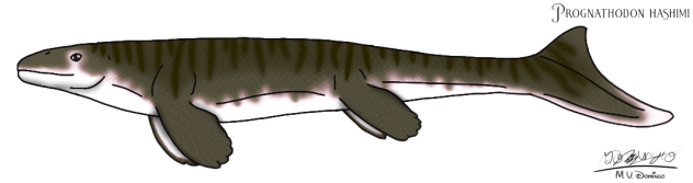 Prognathodon hashimi