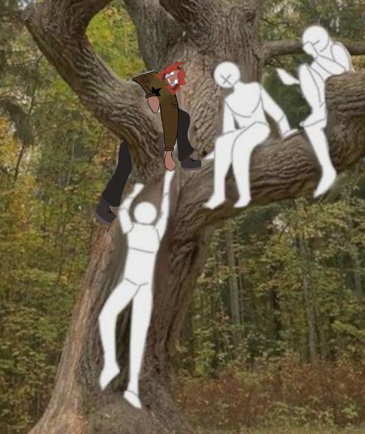 Tree climbing collab