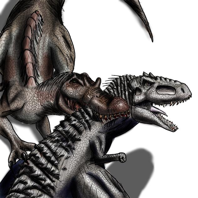 spino vs indonimus
