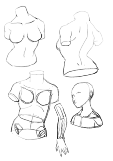 kind draw study 11.8