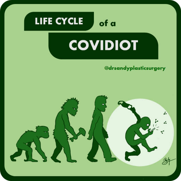 covidiot cycle 0