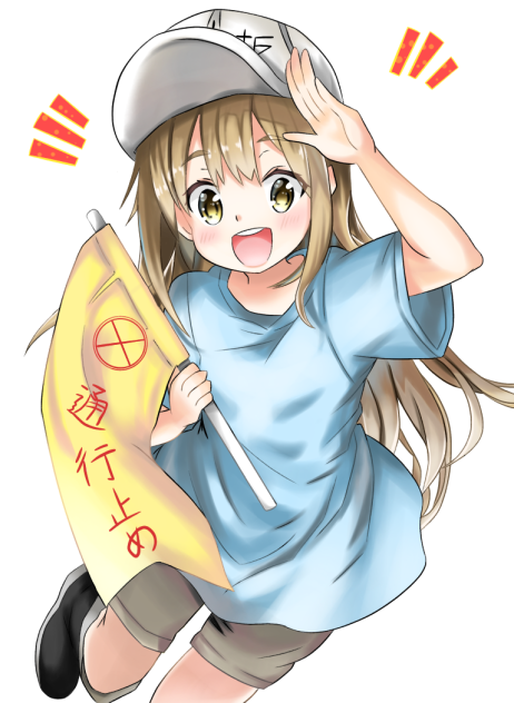 はたらく細胞  血小板