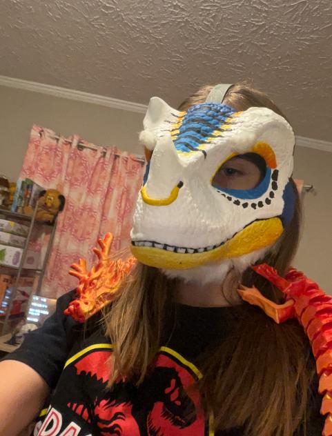 New room + Dice (raw)