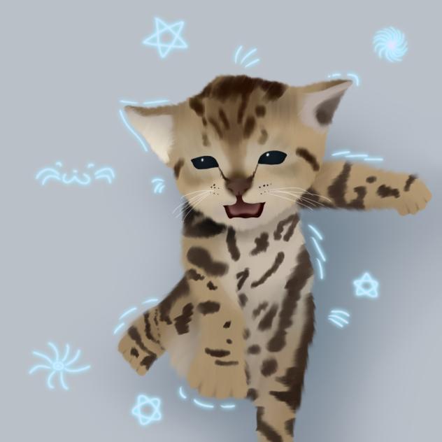 Kitty