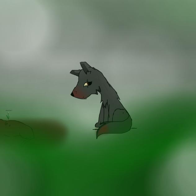 mi primer estilo de animales!