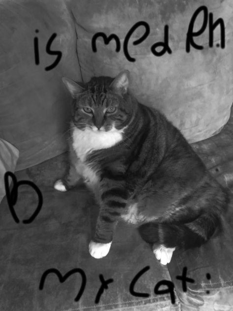 meden